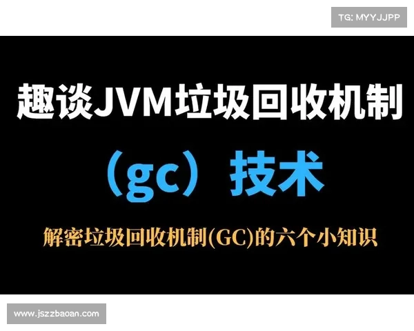Net平台GC VS JVM垃圾回收